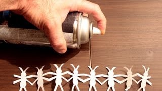 Spray the Bugs Away (for Mature Audience)