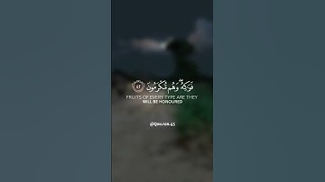 ﴿إلا عباد الله المخلصين...﴾ تلاوة خاشعة للقارئ الشيخ محمد اللحيدان🍁