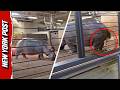 Watch Explosive Moment Hippo Claims Territory When Family Gets Too Close