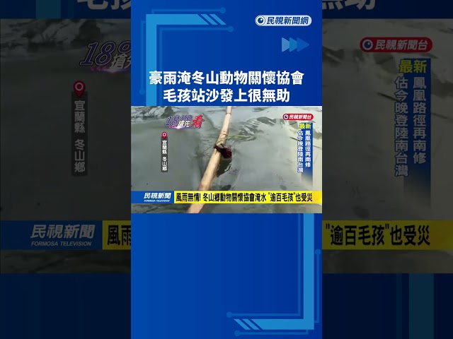 宜蘭豪雨! 動物關懷協會受災 逾百隻毛孩待救援－民視新聞
