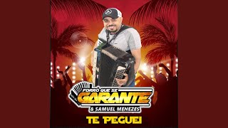 Te Peguei