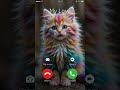 Котик ЗВОНИТ телефон Cat веселыекоты Cute прикольныекоты Ai Funny Viralshorts 