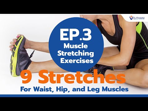 EP.3 - Muscle Stretching Exercises : 9 Stretches for Waist, Hip, and Leg  Muscles 