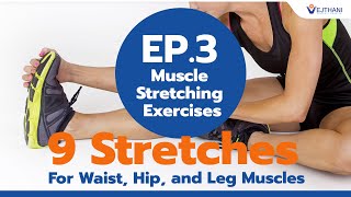 EP.3 - Muscle Stretching Exercises : 9 Stretches for Waist, Hip, and Leg Muscles