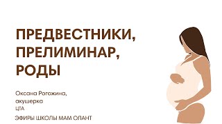 ПРЕДВЕСТНИКИ, ПРЕЛИМИНАР, РОДЫ