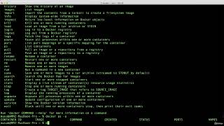 11   Docker Commands Overview
