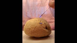 Hot-needle test ambergris ?