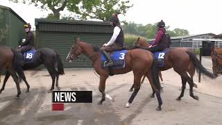 Dan Skelton Stable Tour 202223 Season - Juveniles - Racing Tv