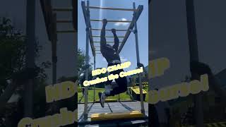 Ndo Champ 250 Pounds Moving