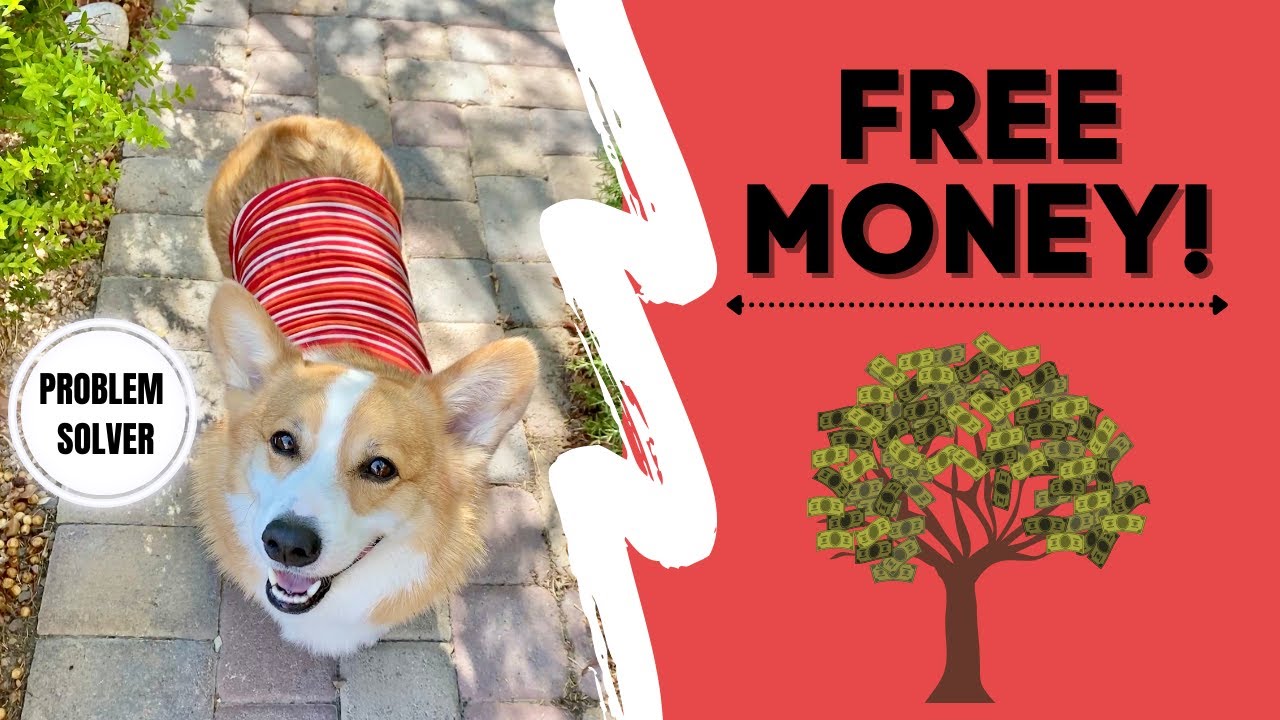 Money Does GROW on TREES! 