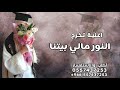 النور مالي بيتنا  اغنية تخرج  جديد بدون حقوق  نجومي