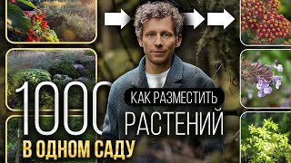 видео: Так выглядит ИДЕАЛЬНЫЙ сад — 1000 растений на одном участке и все сочетаются! картинка: Так выглядит ИДЕАЛЬНЫЙ сад — 1000 растений на одном участке и все сочетаются!
