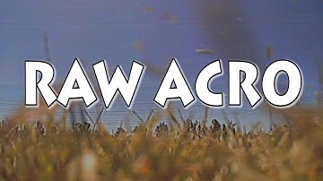 Tweaker 180 Racerstar 1806 Motors RAW