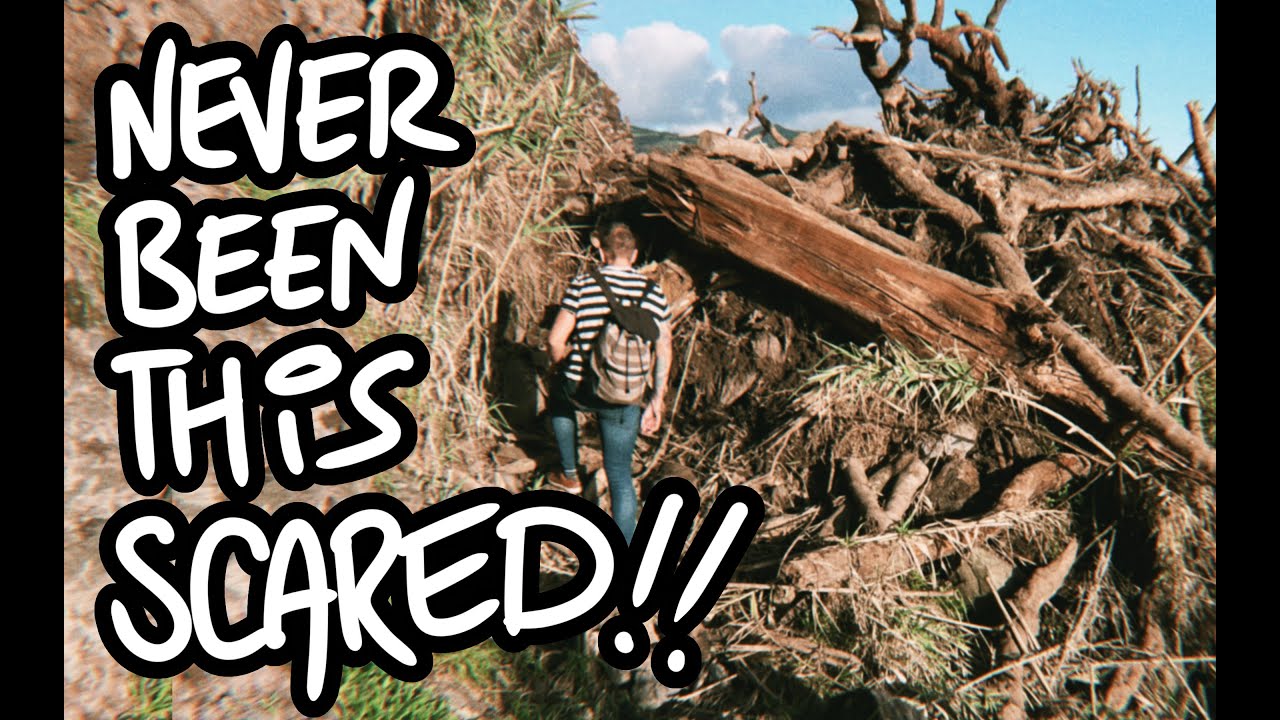 Image showcasing Renovation Reveal |Cozy Off-Grid Living by the Sea - YouTube