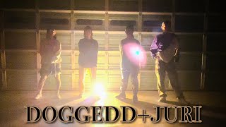 DOGGEDD＋JURI