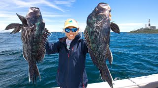 We Made A BIG MISTAKE! 😆 MONTAUK Fishing for Black Sea Bass; Catch & Cook