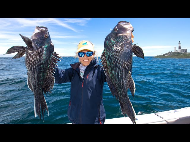We Made A BIG MISTAKE! 😆 MONTAUK Fishing for Black Sea Bass; Catch & Cook  