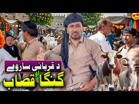 Da Qurbane Sarwe Aw Ganga Qasab | Pashto Funny Video New Drama Kaliwal Vines 
