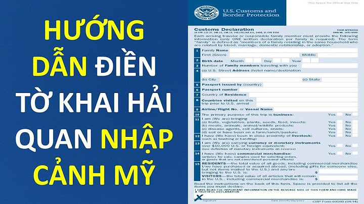 Mẫu to khai hải quan bằng tiếng Anh