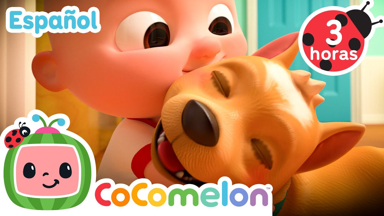 ¡Mi perro, Bingo! | CoComelon y los animales 🍉| Dibujos animados para niños