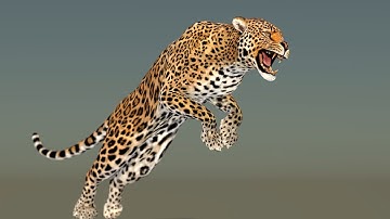 Leopard 3D Model with Animation for Download | @PROmax3D