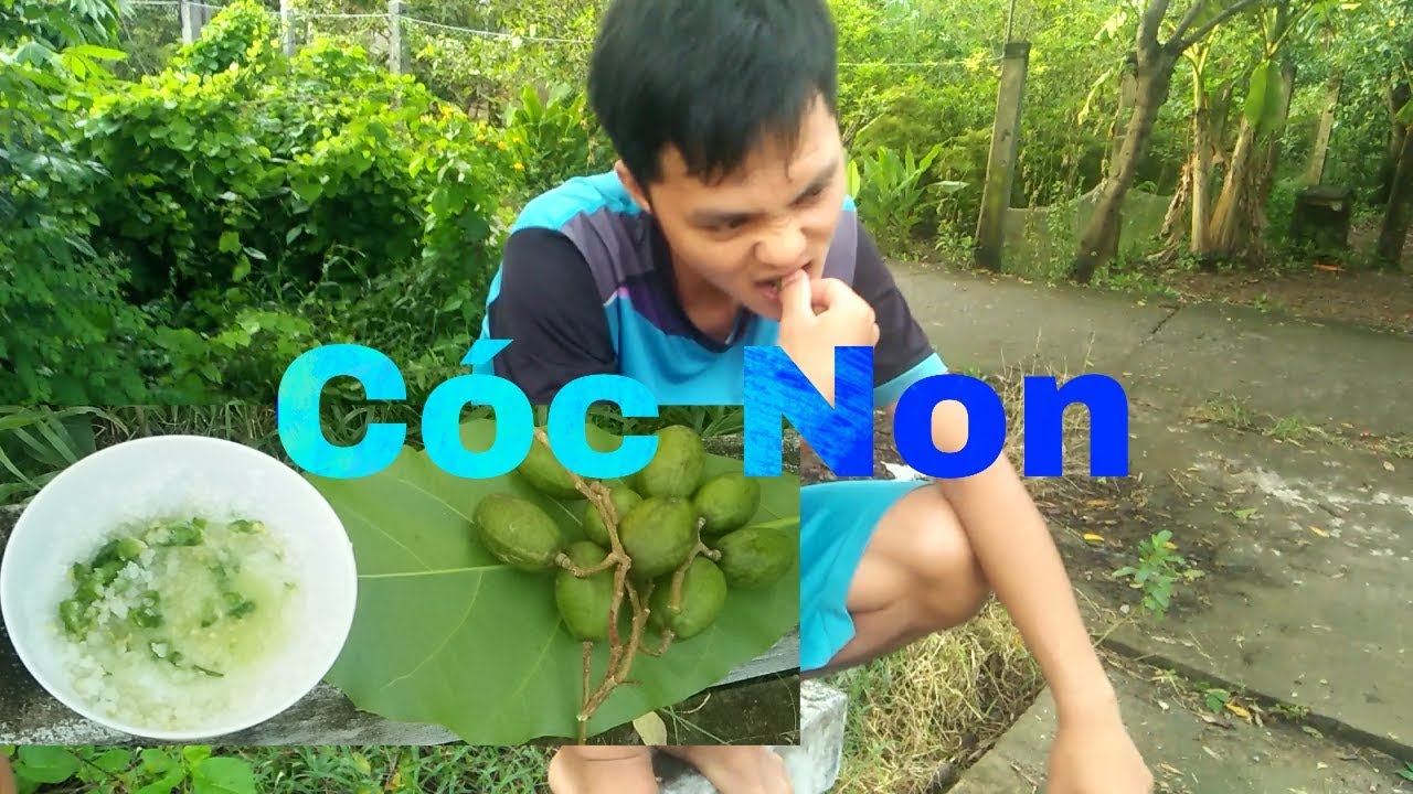 NVL- Cóc Non Chấm Muối Ớt Tập2 - YouTube