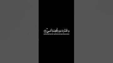 كروما شاشه سوداء🌿سورة طه🌿ومن أعرض عن ذكري فإن له معيشة ضنكا🔥Surah Taha🔥#القران_الكريم