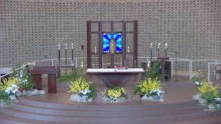 Corpus Christi Sunday 6-7 Mass 9:30 AM (music onelicense.net A-720583)