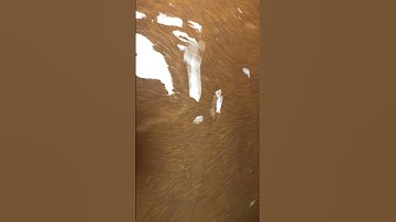 Camelina in Suspending Agent