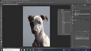 How to use Soft Vintage HDR PS Action screenshot 5