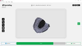 Queueing Prints From RayWare Desktop