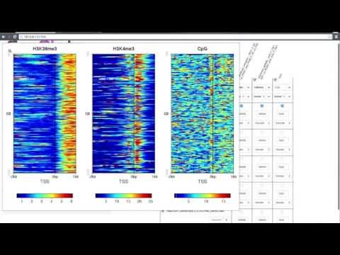 SeqPlotsDemo
