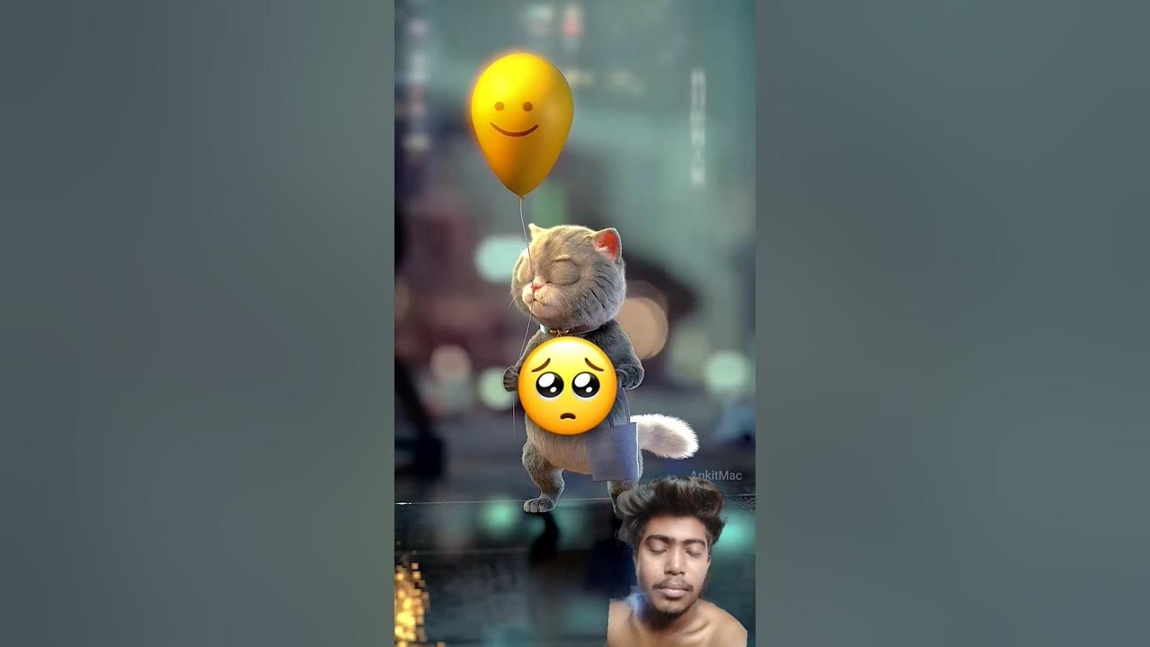 love cartoon sad funny cats cat shayari YouTube