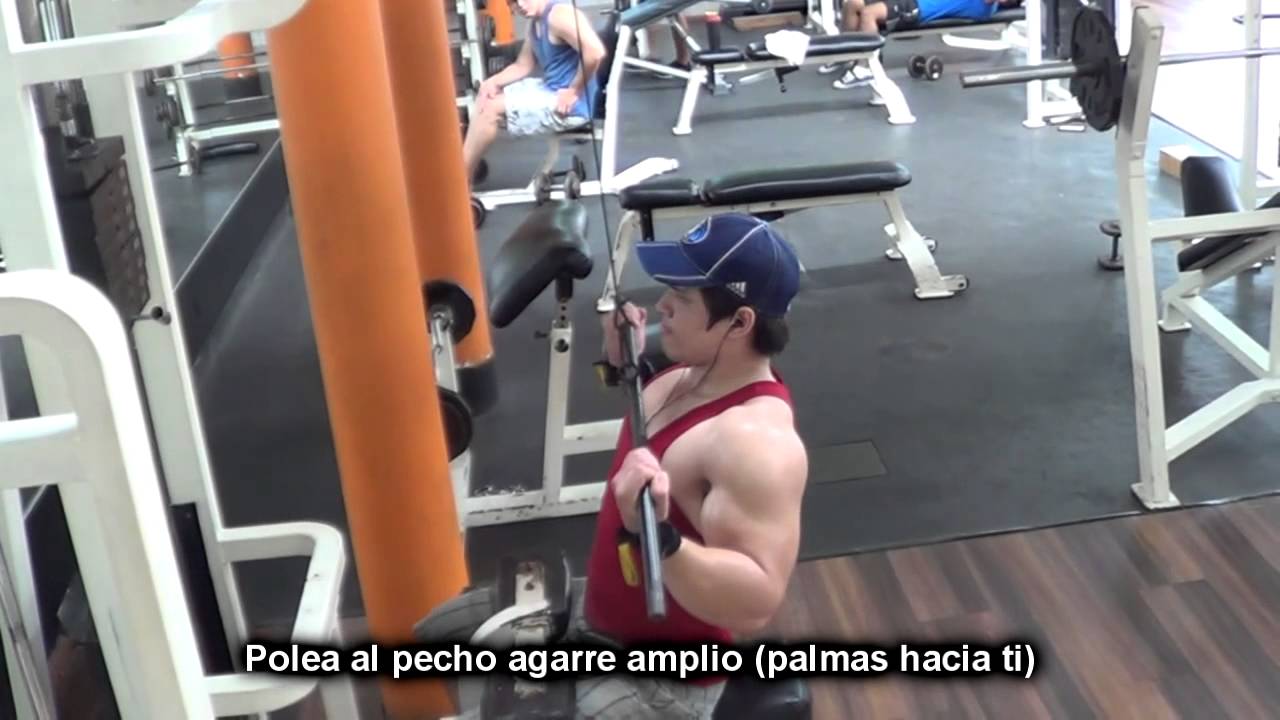 En ejercicios para de rutina el espalda gym