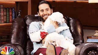 Pup Quiz with Jared Leto