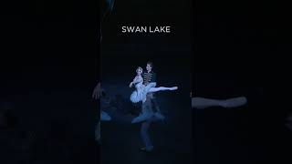 Swan Lake - The Royal Ballet #royaloperahouse #ballet #shorts #swanlake