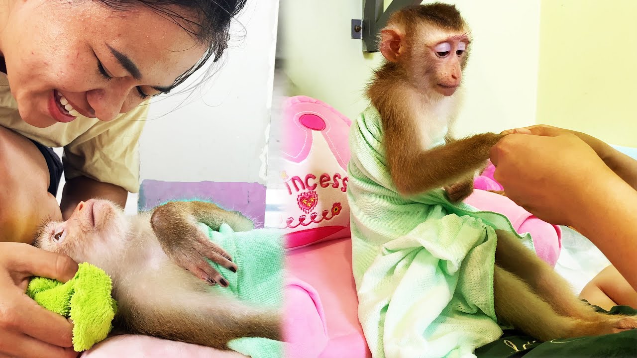 Monkey Lyly experiences hair washing, massage and beauty services at 