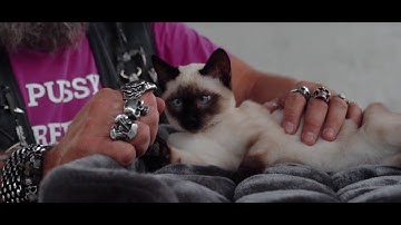 Petrebels cat trees - Maine Coon 117 - For tigers