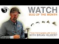 Bug of the month  tying the caddis lifecycle with brian hilbert