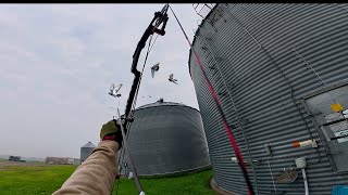 Bowhunting Pigeons Out of the AIR! (Insane Shots!)