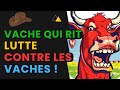 Maintenant la vache qui rit ne rit plus du tout avec ses vaches