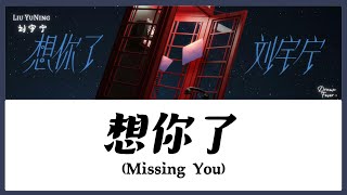 【CHI/ENG/PINYIN LYRIC】Liu YuNing (刘宇宁) - Missing You (想你了)