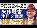 【POG/24−25】矢作厩舎の注目2歳馬をリストアップ!!【世界級の名門ステーブル!/ドラフト検討向け】