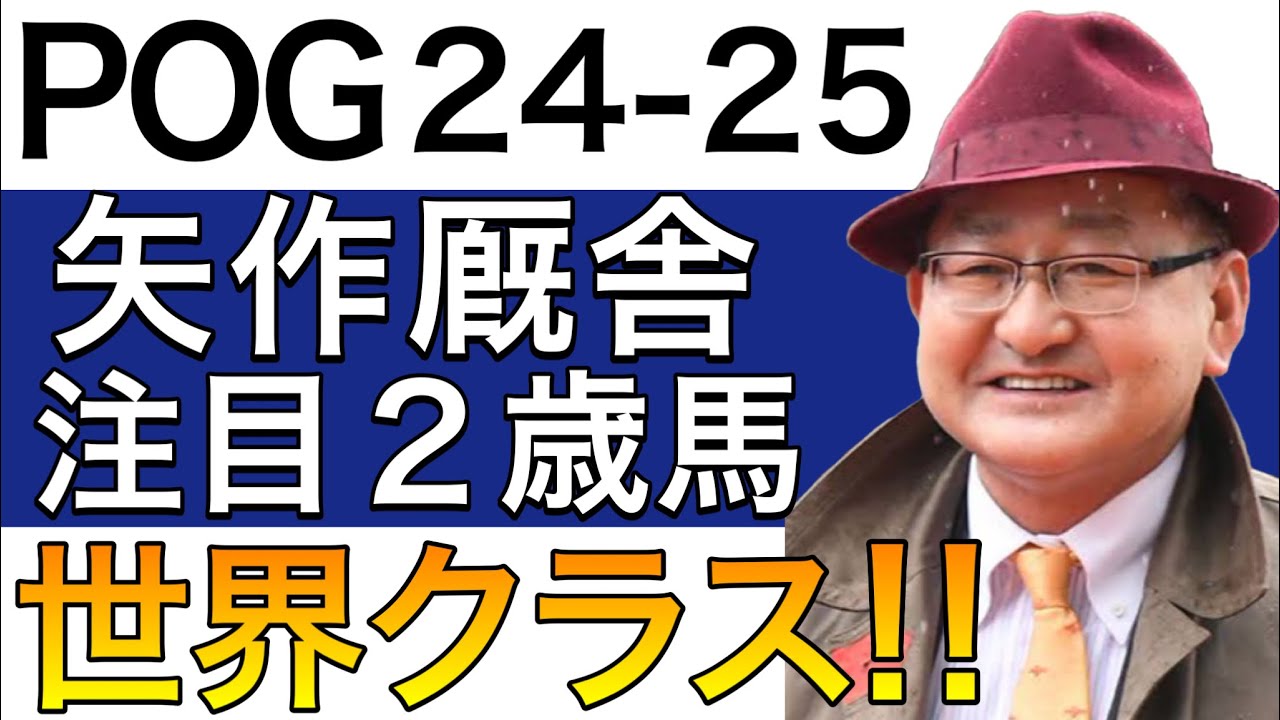 POG/24−25】矢作厩舎の注目2歳馬をリストアップ！！【世界級の名門ス