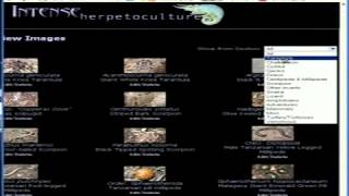 SQL Shell  Deface Web Site Hacking