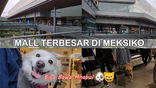 MALL UNIK DENGAN DESAIN TERBUKA | TERBESAR DI MEKSIKO & LATIN AMERIKA | ANTEA QUERETARO