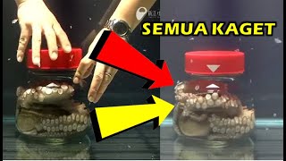 Semua Kaget…Inilah Yang terjadi Ketika Gurita Dikurung Dalam Toples