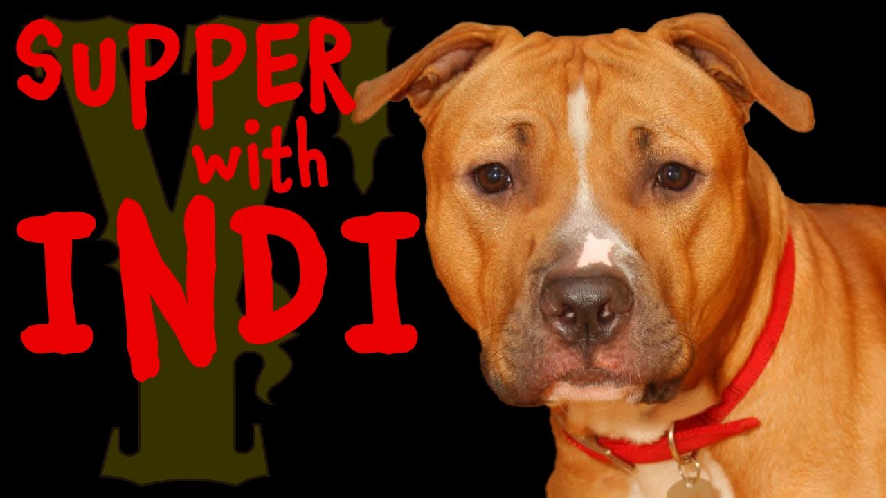 02/28/2024 #supper with Indi our #special #needs #dog #live #yankeefree #youtuber #live #livestream