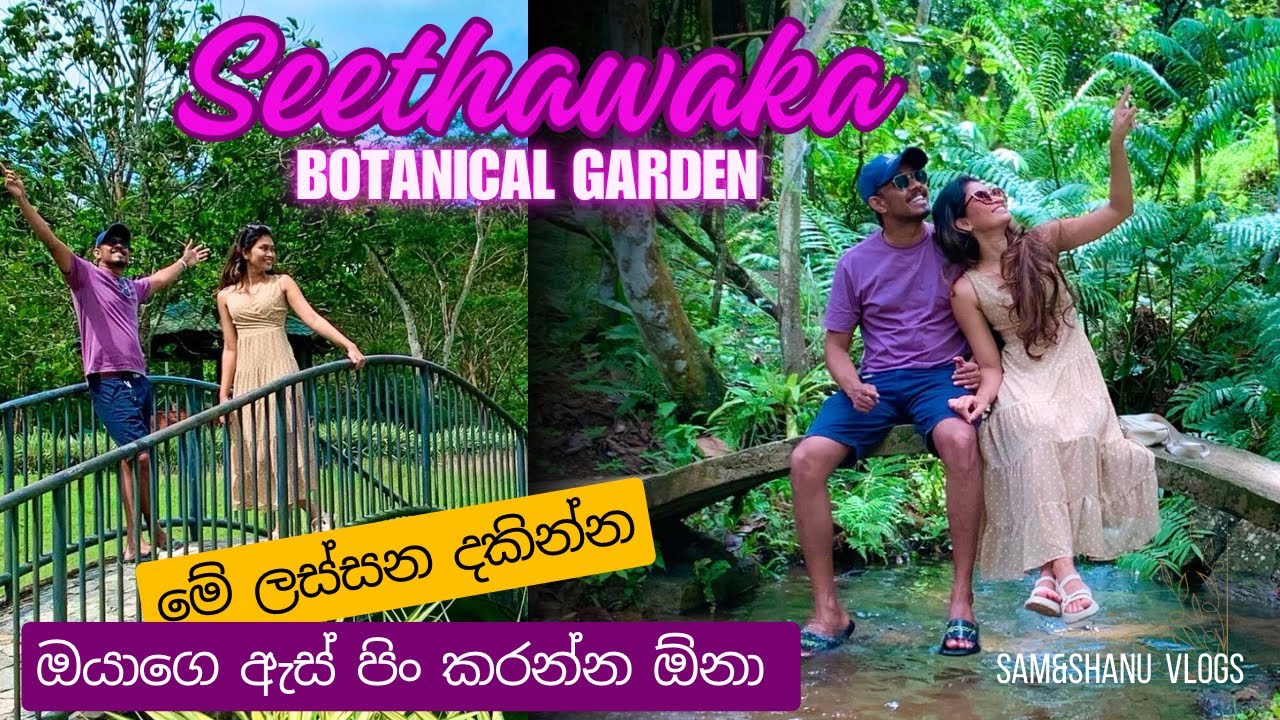 Seethawaka wet zone Botanical Garden 🌿| ඉන්දියාව පරදන ඒ ලස්සන බලන්න | Best place to go in colombo