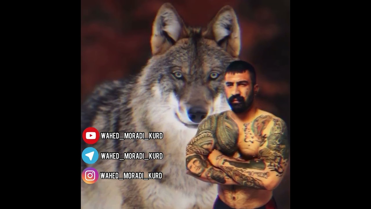 خوشترين گورانى فارسي : delala mn باصداى : #على_يگانه #آهنگ #جديد #مازن #مازندران #وحيد_مرادي